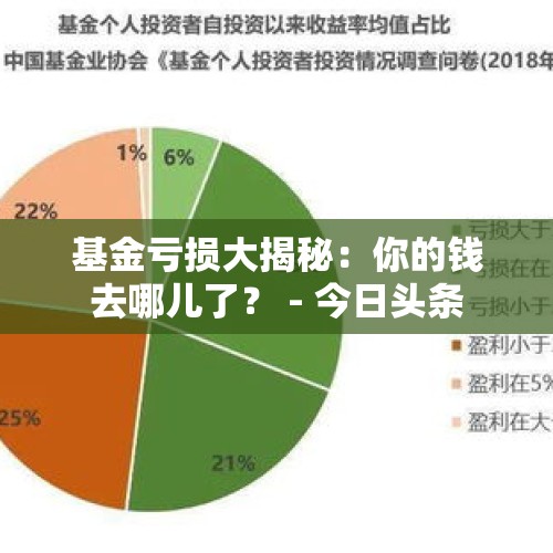 基金亏损大揭秘：你的钱去哪儿了？ - 今日头条