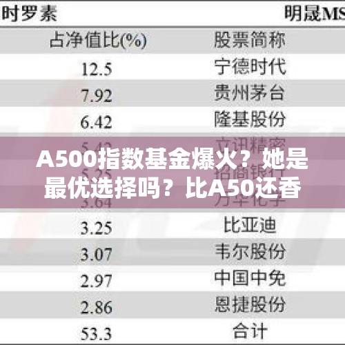 A500指数基金爆火？她是最优选择吗？比A50还香吗！ - 今日头条