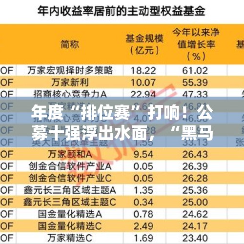 年度“排位赛”打响！公募十强浮出水面，“黑马基金” 回报率狂飙 - 今日头条