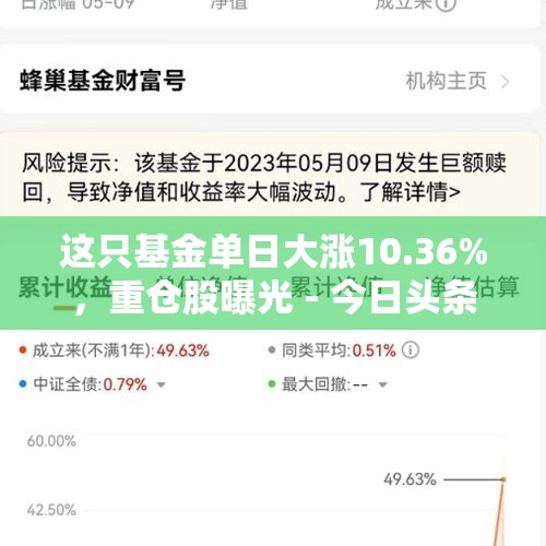 这只基金单日大涨10.36%，重仓股曝光 - 今日头条