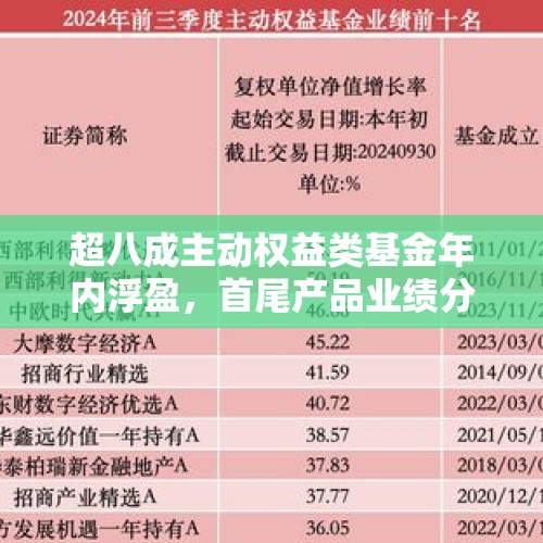 超八成主动权益类基金年内浮盈，首尾产品业绩分化 - 今日头条