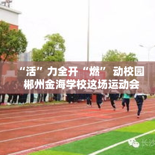 “活”力全开“燃” 动校园   郴州金海学校这场运动会回归体育“竞技”本质 - 今日头条