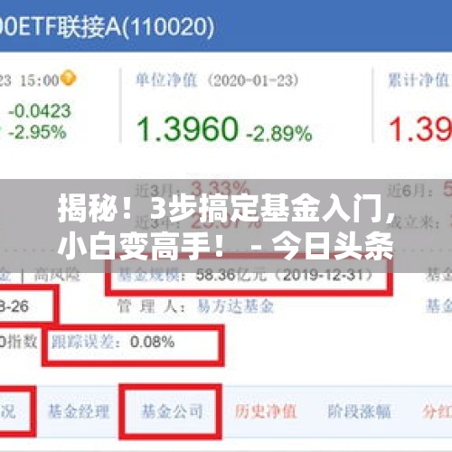 揭秘！3步搞定基金入门，小白变高手！ - 今日头条