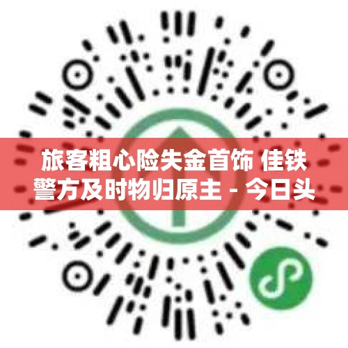 旅客粗心险失金首饰 佳铁警方及时物归原主 - 今日头条