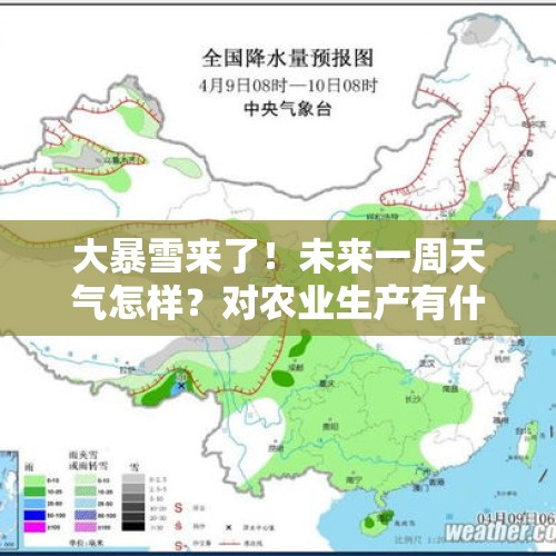 大暴雪来了！未来一周天气怎样？对农业生产有什么影响？ - 今日头条