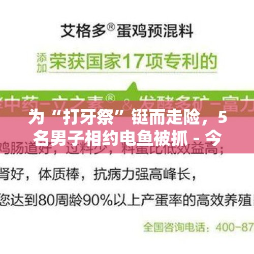 为“打牙祭”铤而走险，5名男子相约电鱼被抓 - 今日头条