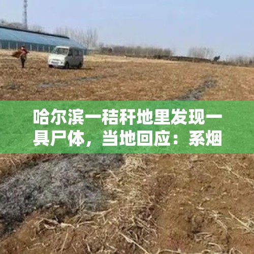 哈尔滨一秸秆地里发现一具尸体，当地回应：系烟雾呛晕后死亡，“放荒”者已被刑拘 - 今日头条