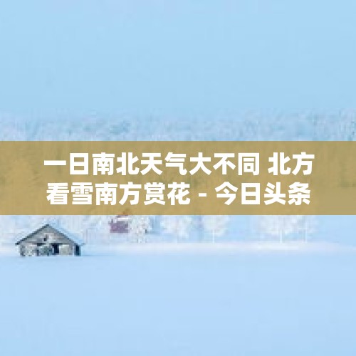 一日南北天气大不同 北方看雪南方赏花 - 今日头条