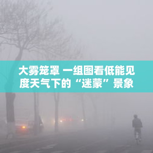 大雾笼罩 一组图看低能见度天气下的“迷蒙”景象 - 今日头条