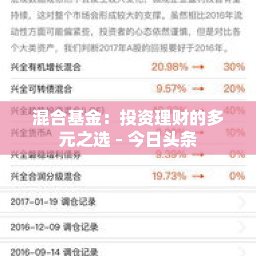 混合基金：投资理财的多元之选 - 今日头条