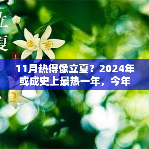 11月热得像立夏？2024年或成史上最热一年，今年冬天还会冷吗？ - 今日头条