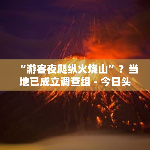 “游客夜爬纵火烧山”？当地已成立调查组 - 今日头条