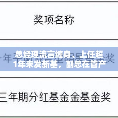 总经理流言缠身、上任超1年未发新基，副总在管产品同质化，长安基金为何不思进取？ - 今日头条