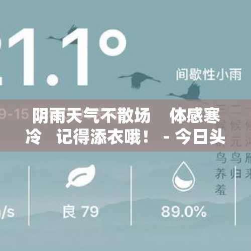 阴雨天气不散场    体感寒冷   记得添衣哦！ - 今日头条