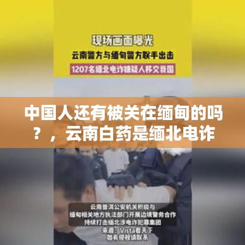 中国人还有被关在缅甸的吗？，云南白药是缅北电诈集团的股东吗？