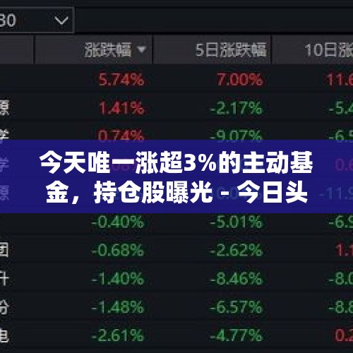 今天唯一涨超3%的主动基金，持仓股曝光 - 今日头条