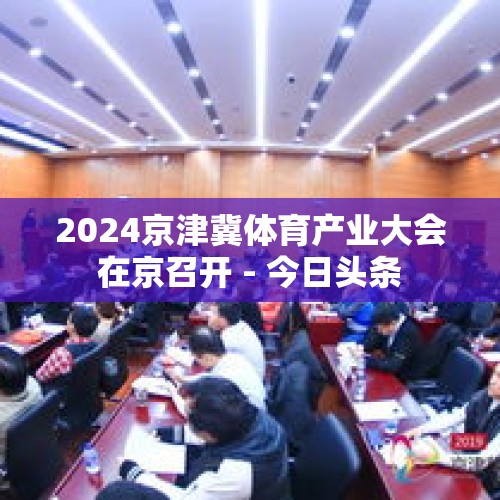 2024京津冀体育产业大会在京召开 - 今日头条