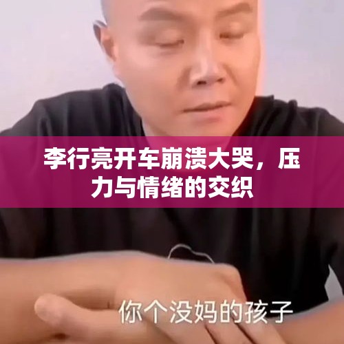 李行亮开车崩溃大哭，压力与情绪的交织