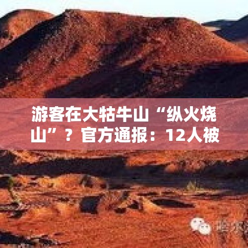 游客在大牯牛山“纵火烧山”？官方通报：12人被处罚，并限期恢复植被 - 今日头条