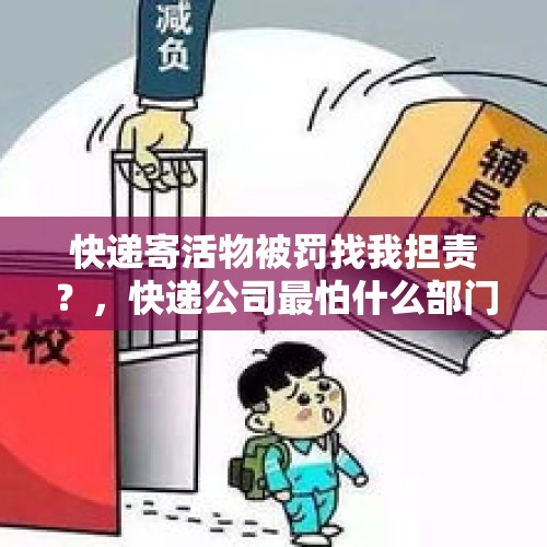 快递寄活物被罚找我担责？，快递公司最怕什么部门投诉？