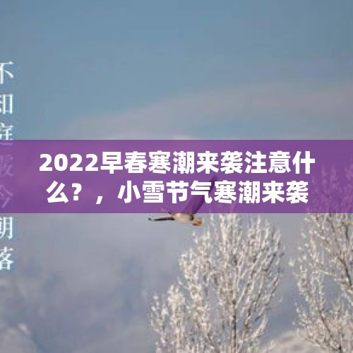 2022早春寒潮来袭注意什么？，小雪节气寒潮来袭到下雪时候了吗？