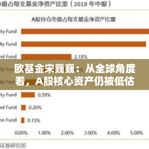 欧基金宋巍巍：从全球角度看，A股核心资产仍被低估 - 今日头条