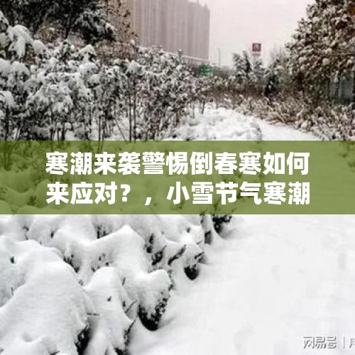 寒潮来袭警惕倒春寒如何来应对？，小雪节气寒潮来袭到下雪时候了吗？