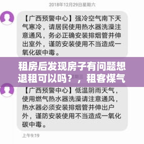 租房后发现房子有问题想退租可以吗？，租客煤气中毒身亡，房东应不应该担责？