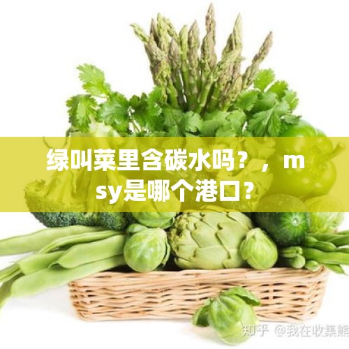 绿叫菜里含碳水吗？，msy是哪个港口？