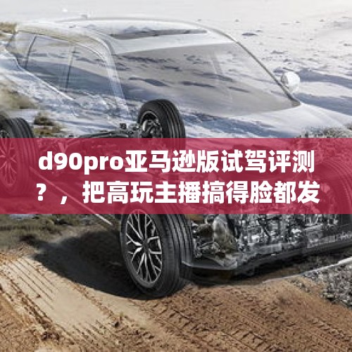 d90pro亚马逊版试驾评测？，把高玩主播搞得脸都发绿的冒险沙盒游戏《西部狂徒》有多厉害？