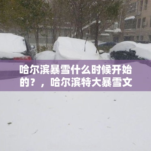 哈尔滨暴雪什么时候开始的？，哈尔滨特大暴雪文案？