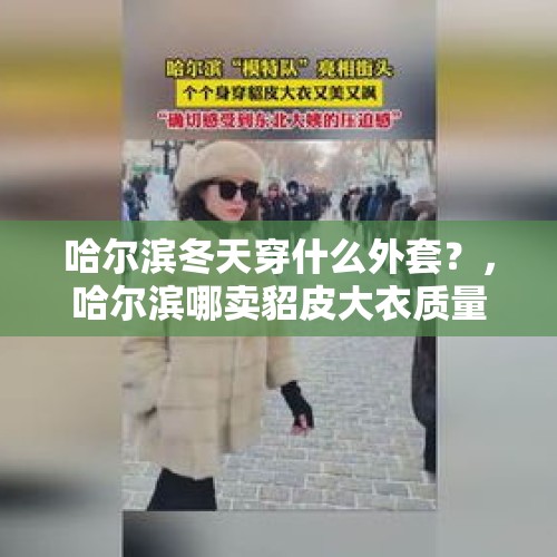 哈尔滨冬天穿什么外套？，哈尔滨哪卖貂皮大衣质量好价位合理？