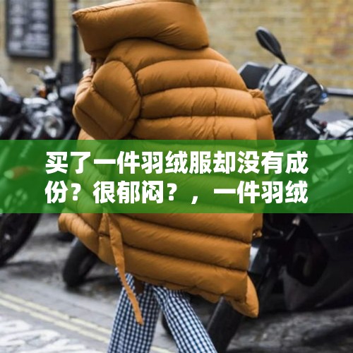 买了一件羽绒服却没有成份？很郁闷？，一件羽绒服有多少羽绒？