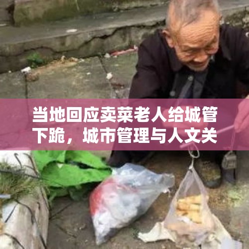 当地回应卖菜老人给城管下跪，城市管理与人文关怀的反思