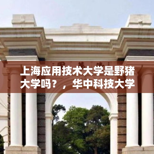 上海应用技术大学是野猪大学吗？，华中科技大学坐落在什么山？