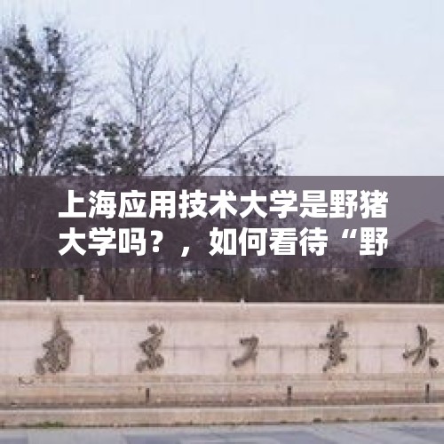 上海应用技术大学是野猪大学吗？，如何看待“野猪闯进南京大学校园，保卫处介入处理”？