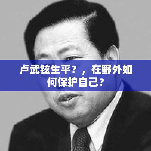 卢武铉生平？，在野外如何保护自己？