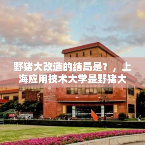 野猪大改造的结局是？，上海应用技术大学是野猪大学吗？