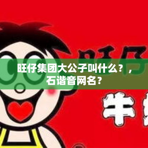 旺仔集团大公子叫什么？，石谐音网名？