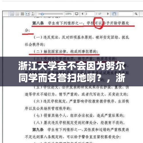 浙江大学会不会因为努尔同学而名誉扫地啊？，浙大努某保留学籍调查有结果了吗？