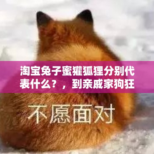 淘宝兔子蜜獾狐狸分别代表什么？，到亲戚家狗狂叫怎么回事？