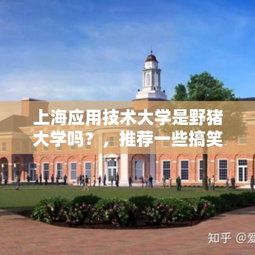 上海应用技术大学是野猪大学吗？，推荐一些搞笑的校园日剧？