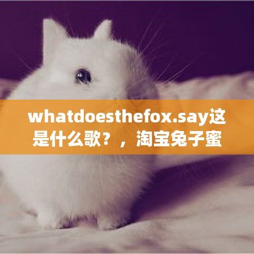 whatdoesthefox.say这是什么歌？，淘宝兔子蜜獾狐狸分别代表什么？