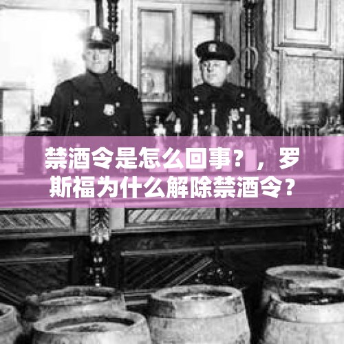 禁酒令是怎么回事？，罗斯福为什么解除禁酒令？