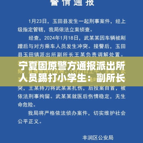 宁夏固原警方通报派出所人员踢打小学生：副所长被撤职 - 今日头条