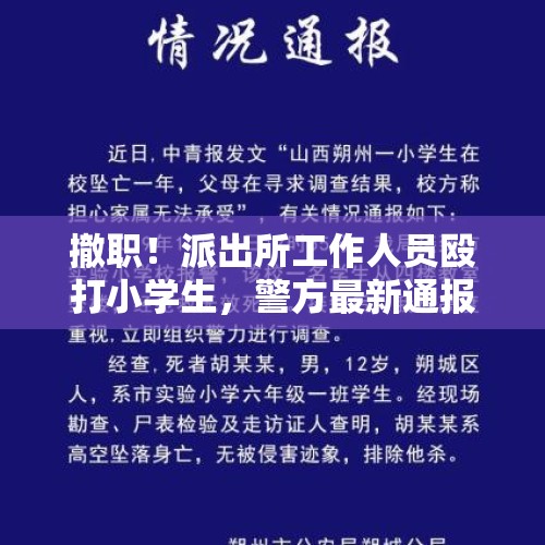 撤职！派出所工作人员殴打小学生，警方最新通报 - 今日头条