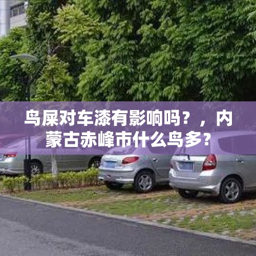 鸟屎对车漆有影响吗？，内蒙古赤峰市什么鸟多？