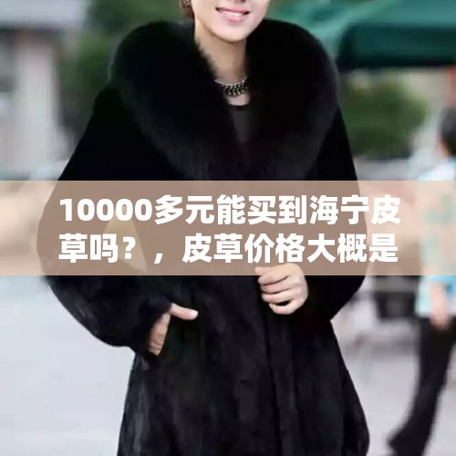 10000多元能买到海宁皮草吗？，皮草价格大概是多少？