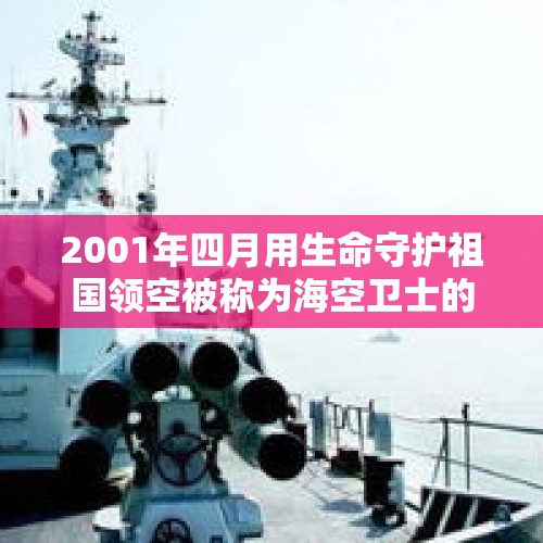 2001年四月用生命守护祖国领空被称为海空卫士的英雄是谁？，飞机的故事？