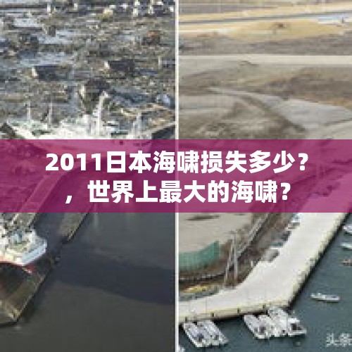 2011日本海啸损失多少？，世界上最大的海啸？